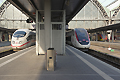 DB�h�C�c�S��Frankfurt am Main Hbf �t�����N�t���g�����w�w�B��TGV4701�^ICE403�^
