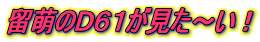 留萌のD61が見た〜い!